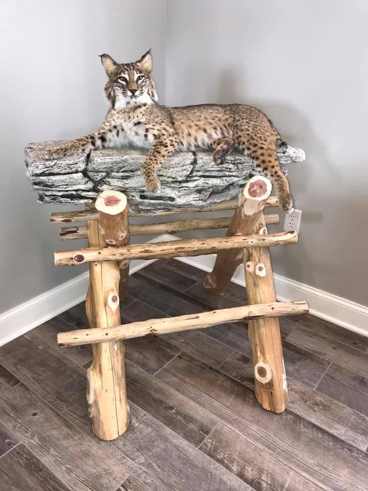 Root-art table with mounted bobcat