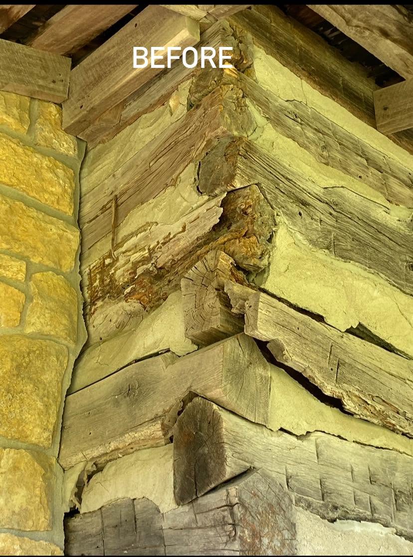 Condition assessment: beam rot documented before repair
