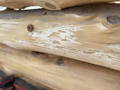 Sticks & Stones hand-notched cedar log cabin work