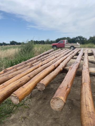 Sticks & Stones hand-notched cedar log cabin work