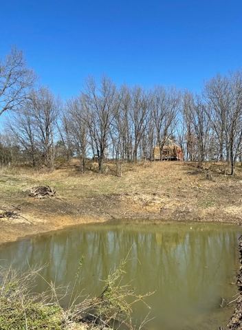 Sticks & Stones hand-notched cedar log cabin work