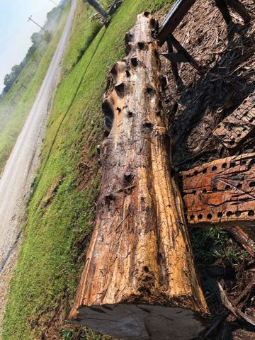 Sticks & Stones hand-notched cedar log cabin work